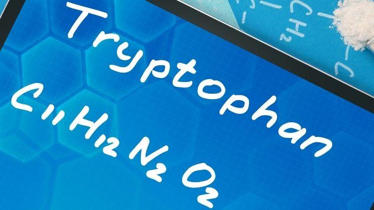 Ways to Support Optimal Levels of Tryptophan in the Body