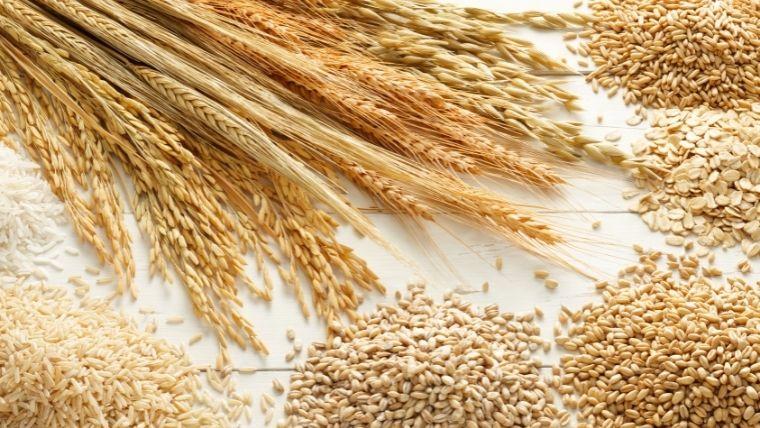 An Introduction to Whole Grains