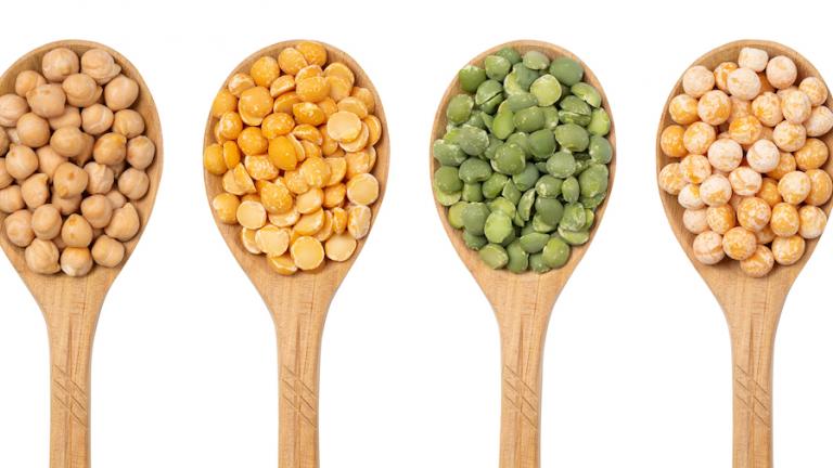 Optimal Plant-Based Protein Sources for Vegans and Vegetarians