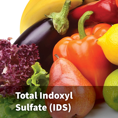 Indoxyl Sulfate (IDS)