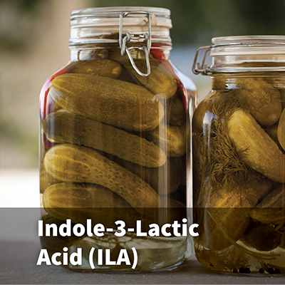 Indole-3-Lactic Acid (ILA)