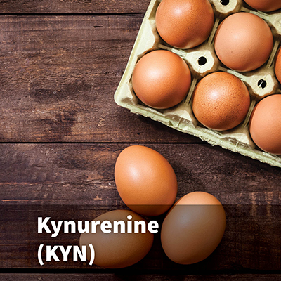 Kynurenine (KYN)