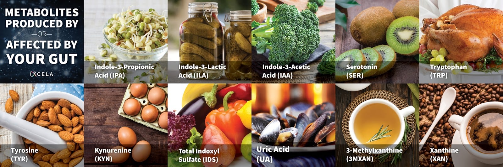 lactic acid in food