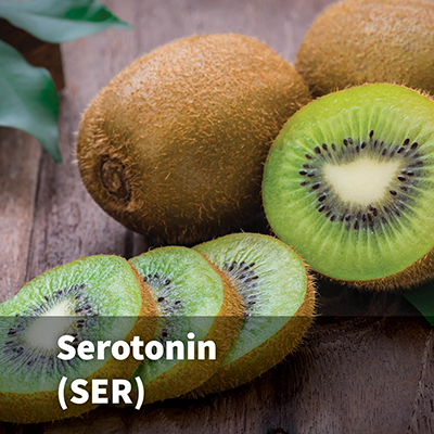 Serotonin (SER)