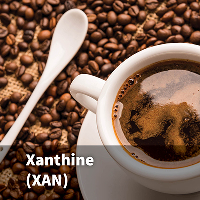 Xanthine (XAN)