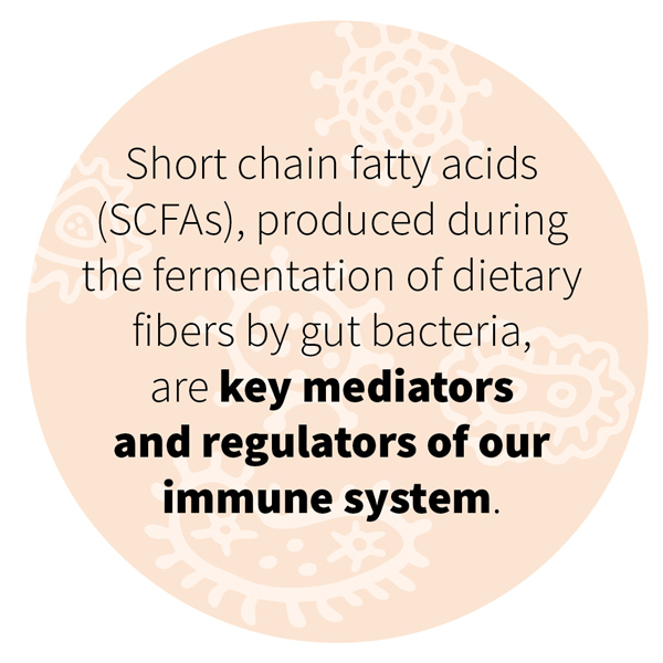 Short chain fatty acids (SCFAs), produced during the fermentation of dietary fibers by gut bacteria, are key mediators and regulators of our immune system.