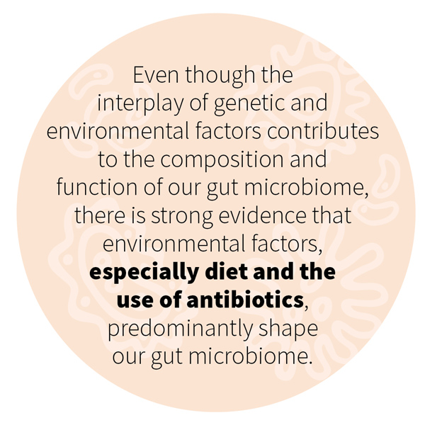 Even though the interplay of genetic and environmental factors contributes to the composition and function of our gut microbiome, there is strong evidence that environmental factors, especially diet and the use of antibiotics, predominantly shape our gut microbiome.