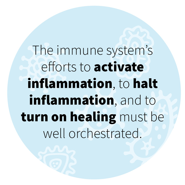 The immune system’s efforts to activate inflammation, to halt inflammation, and to turn on healing must be well orchestrated.