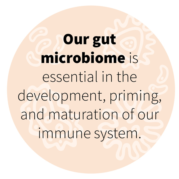 Our gut microbiome is essential in the development, priming, and maturation of our immune system.