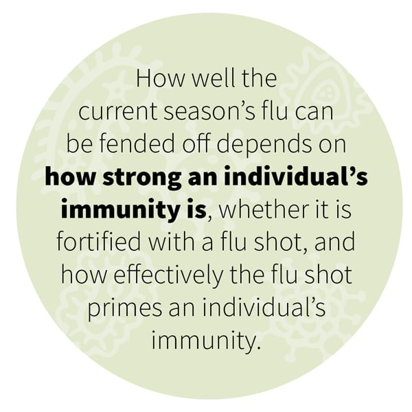 How well the current season’s flu can be fended off depends on how strong an individual’s immunity is, whether it is fortified with a flu shot, and how effectively the flu shot primes an individual’s immunity.