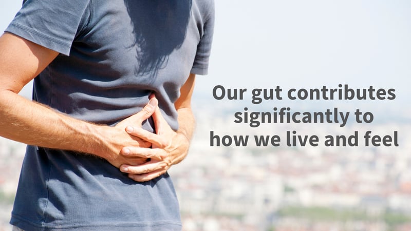Image: Gut microbes significantly influence our body weight, eating behavior, and even our circadian rhythm.