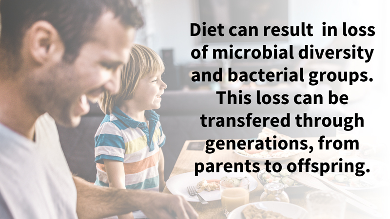 Image: This loss is compounded over generations, influencing the ability of gut bacteria to be transferred from parents to their offspring. 