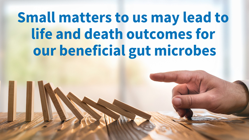 Image: Small maters to us may lead to life and death outcomes for our beneficial gut microbes. 
